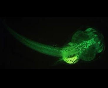 Journée mondiale de l'Eau 2025